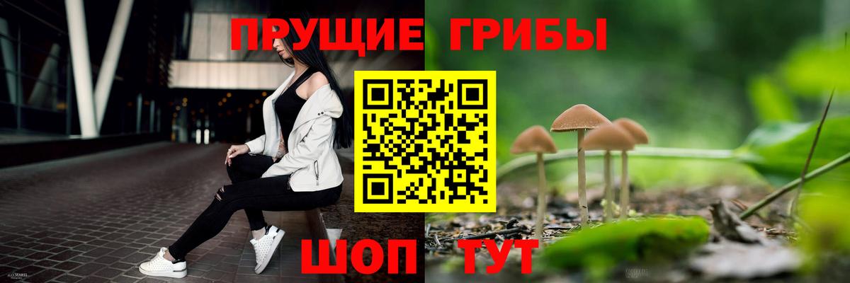 Галлюциногенные грибы мицелий  Вход с VPN  купить наркотики цена  Шебекино 